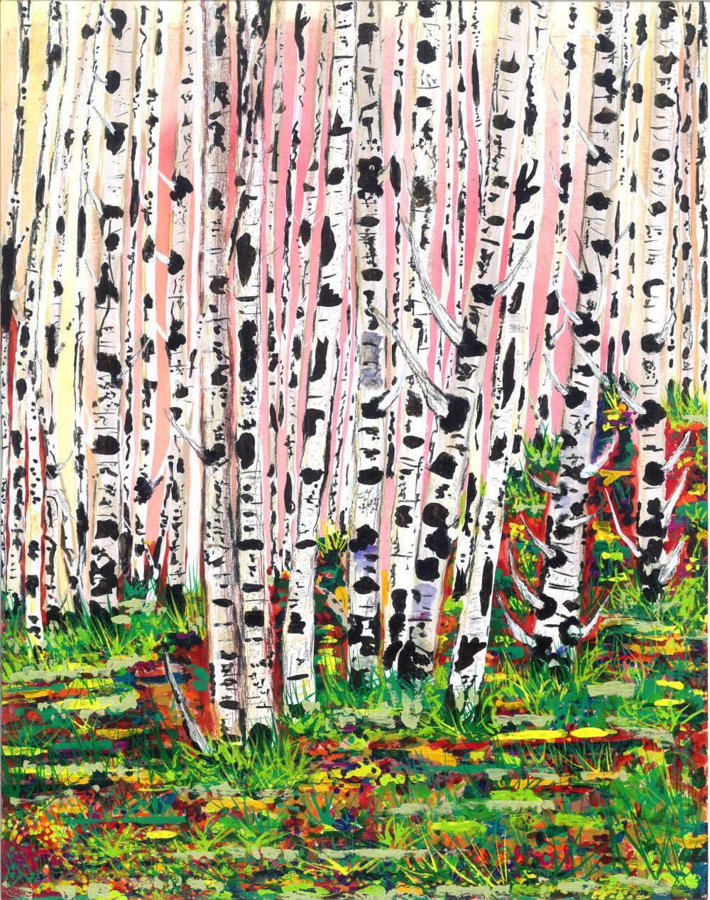 A Walk In The Woods